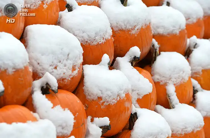 Волшебство осенней палитры