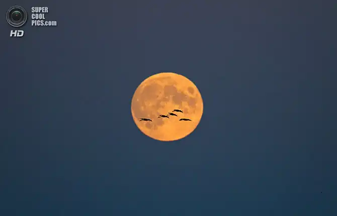 Волшебство осенней палитры