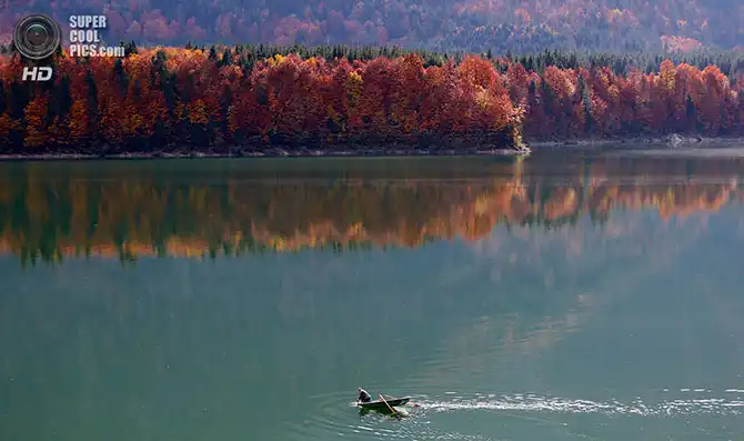 Волшебство осенней палитры