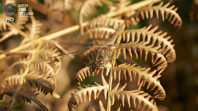 Волшебство осенней палитры