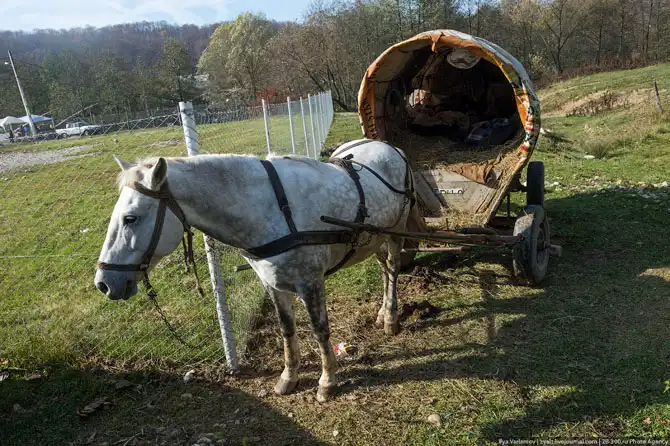В гостях у румынских цыган