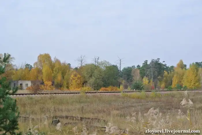 Фотопрогулка по чернобыльской зоне отчуждения
