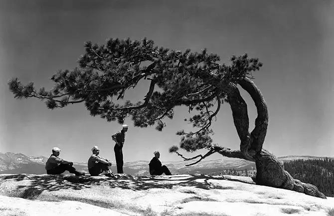 История Национального парка Йосемити