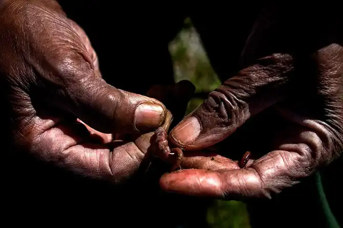Сцены из жизни в сентябре 2013