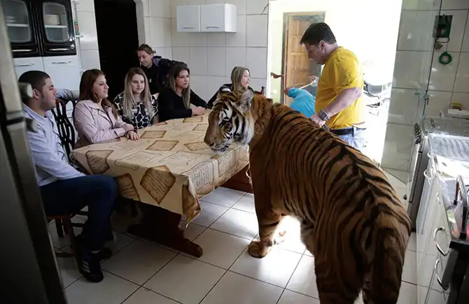 Сцены из жизни в сентябре 2013