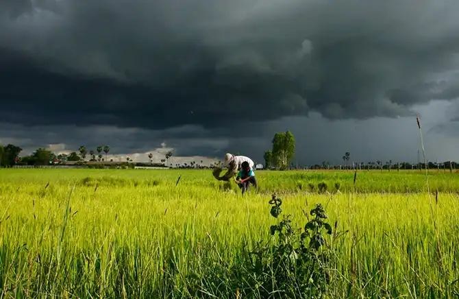 Сцены из жизни в сентябре 2013