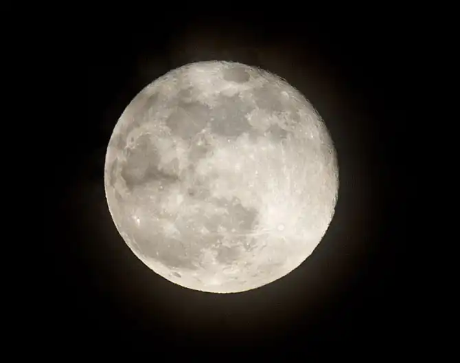 Защита черепах