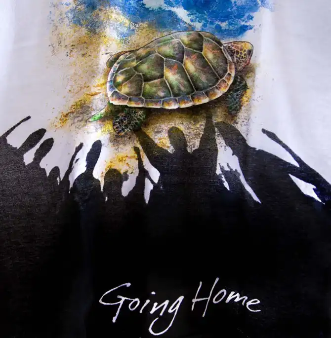 Защита черепах