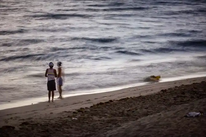 Защита черепах