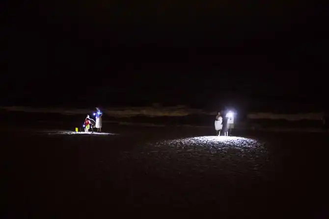 Защита черепах