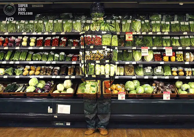 Искусство хамелеона - Лю Болиня