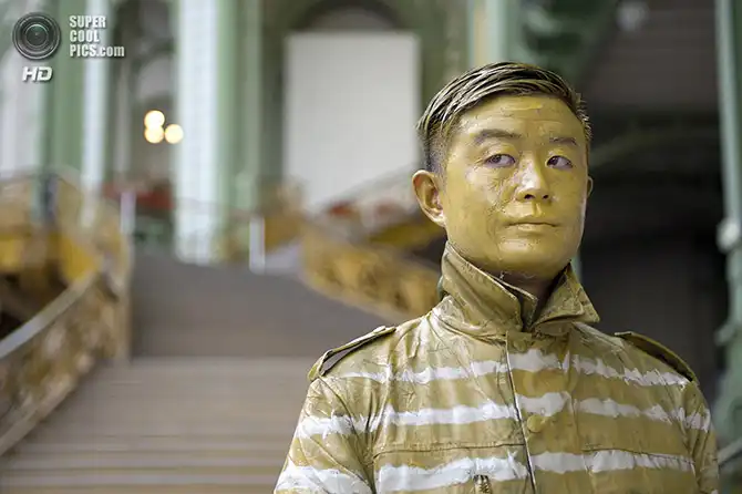 Искусство хамелеона - Лю Болиня