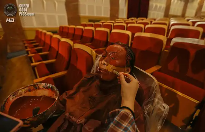 Искусство хамелеона - Лю Болиня