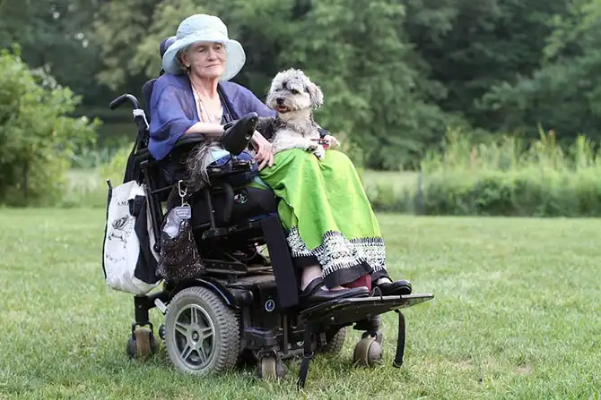 Старики Нью-Йорка