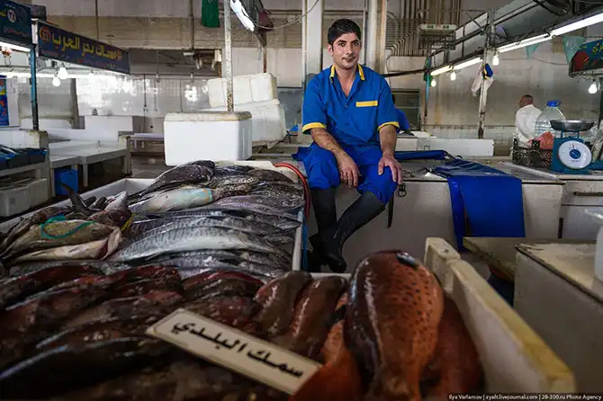 Путешествие в Саудовскую Аравию (часть 3)