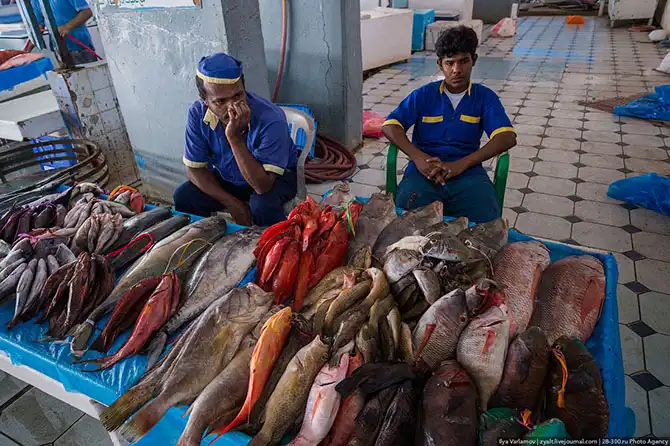 Путешествие в Саудовскую Аравию (часть 3)