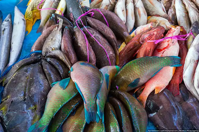 Путешествие в Саудовскую Аравию (часть 3)