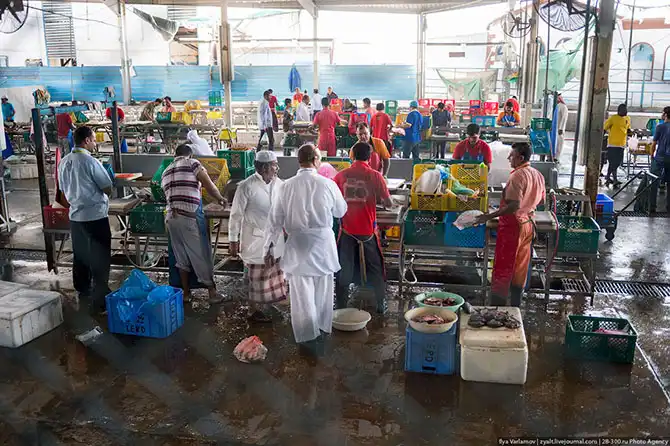 Путешествие в Саудовскую Аравию (часть 3)