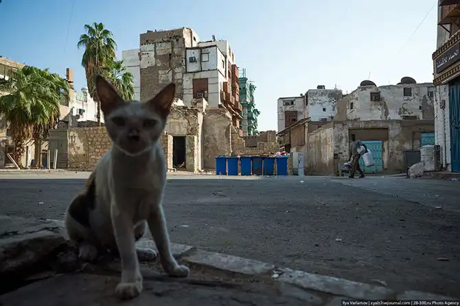 Путешествие в Саудовскую Аравию (часть 3)