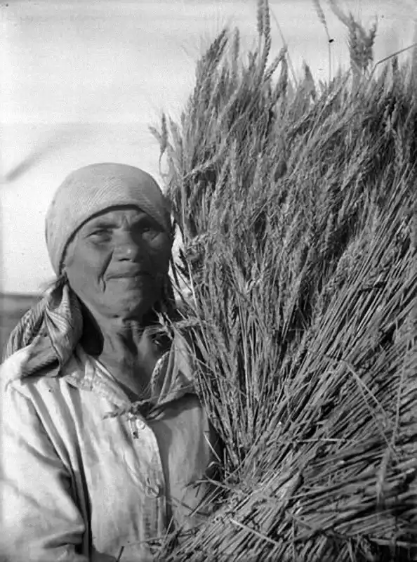 Интересные факты о стахановцах