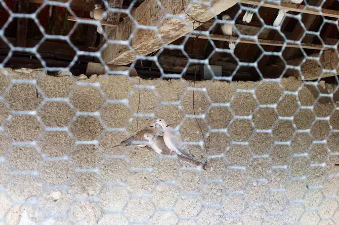 Один день в имении французских аристократов