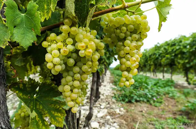 Один день в имении французских аристократов