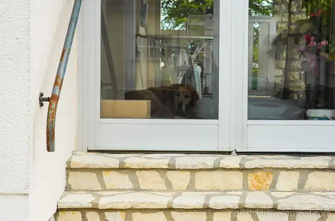 Один день в имении французских аристократов