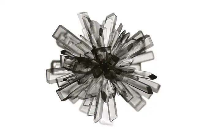 Конкурс микрофотографии Nikon Small World 2013