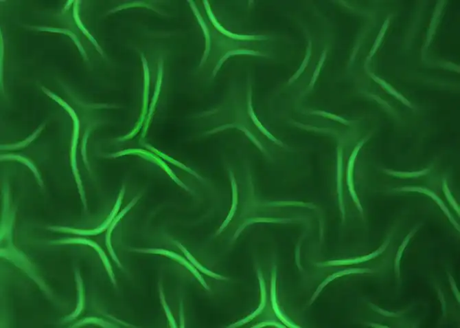 Конкурс микрофотографии Nikon Small World 2013