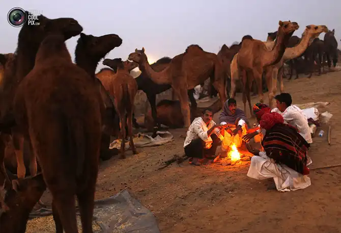 Неделя в фотографиях