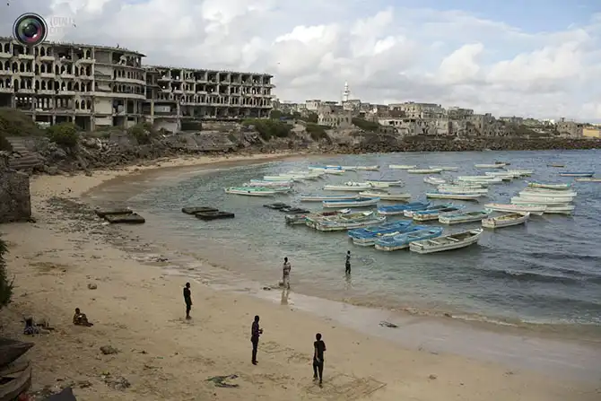 Неделя в фотографиях