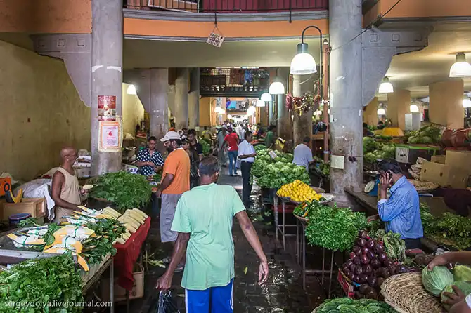 Путешествие на остров Маврикий