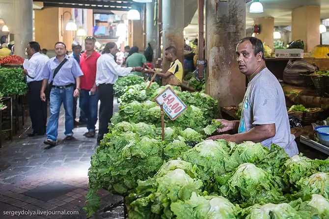 Путешествие на остров Маврикий