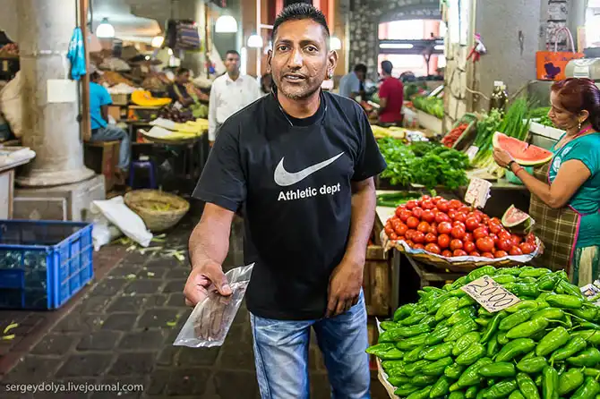 Путешествие на остров Маврикий