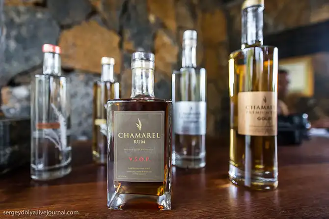 Путешествие на остров Маврикий