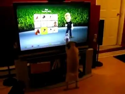 Собака увидела собаку в телевизоре