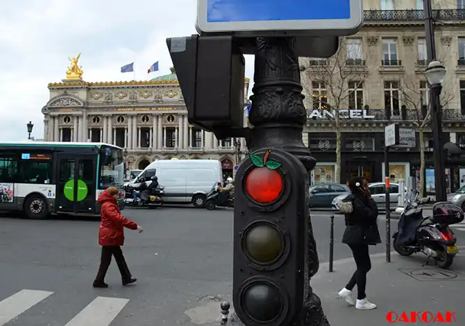 Красота в недостатках