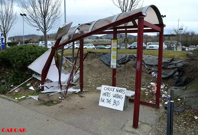 Красота в недостатках