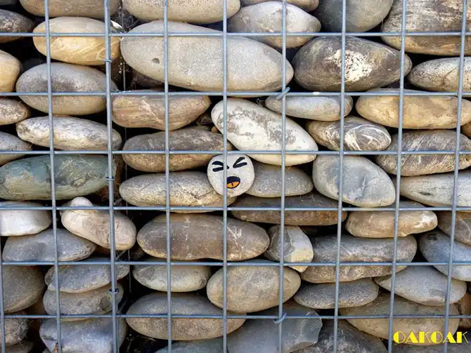 Красота в недостатках