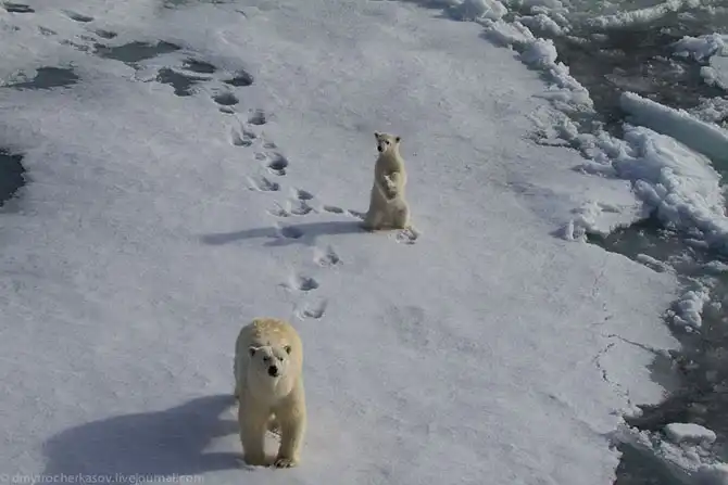 Путешествие на Землю Франца Иосифа