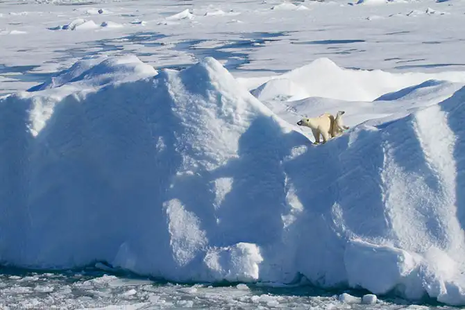 Путешествие на Землю Франца Иосифа