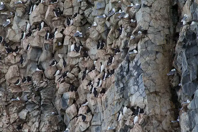 Путешествие на Землю Франца Иосифа