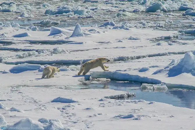 Путешествие на Землю Франца Иосифа