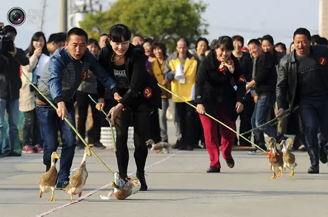 Неделя в фотографиях