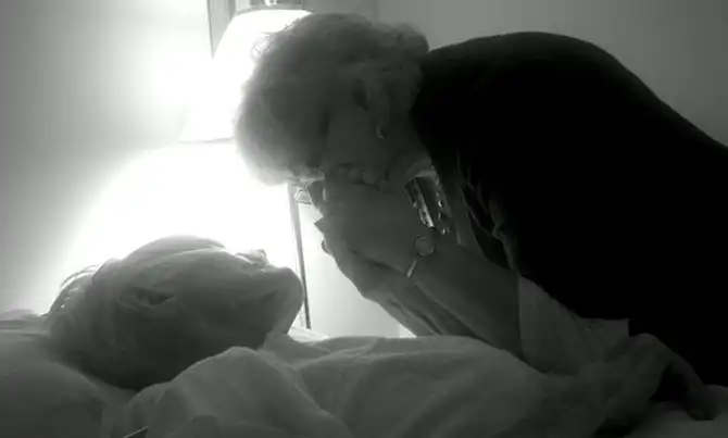 Лучшее с конкурса фотографии National Geographic 2013 (часть 2)