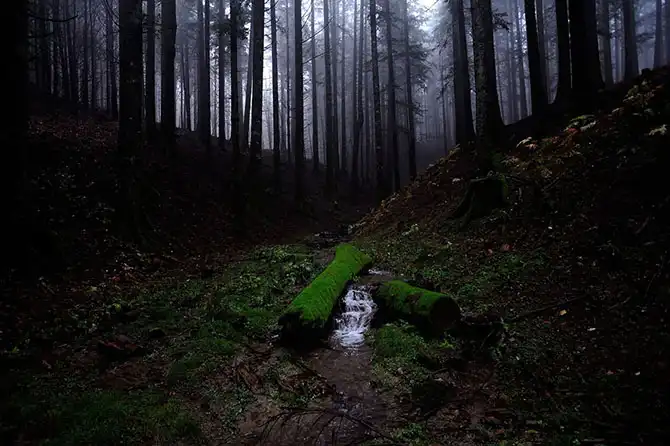 Лучшее с конкурса фотографии National Geographic 2013 (часть 2)