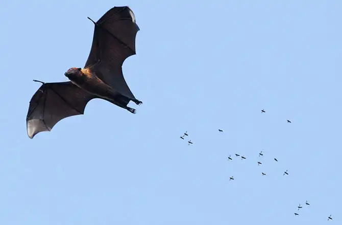 Лучшее с конкурса фотографии National Geographic 2013 (часть 2)