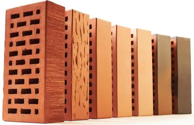 8 научных объяснений любви