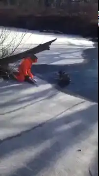 Спасение собаки от верной гибели в замерзшей реке