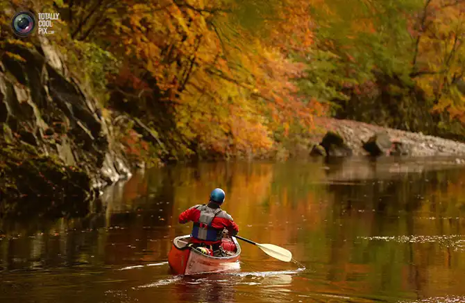Неделя в фотографиях